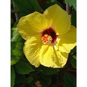 thumb_adimage2